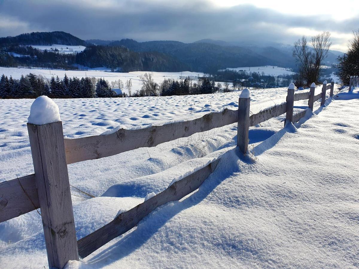 Chata Waliszow Nowy Waliszow Exterior foto