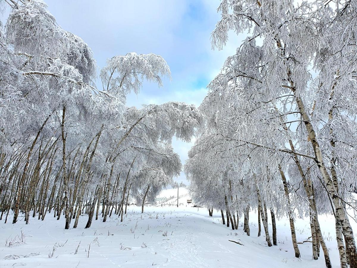 Chata Waliszow Nowy Waliszow Exterior foto