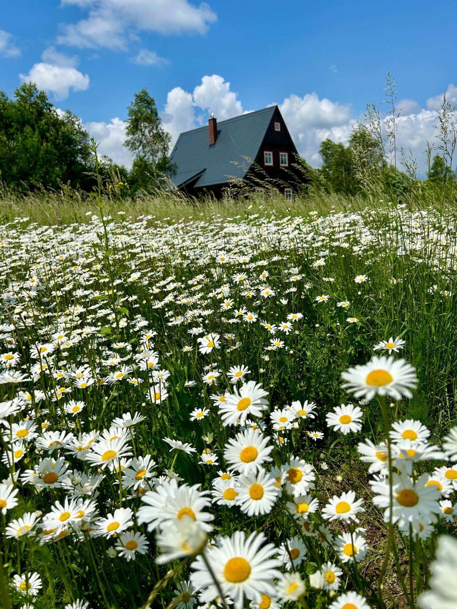 Chata Waliszow Nowy Waliszow Exterior foto