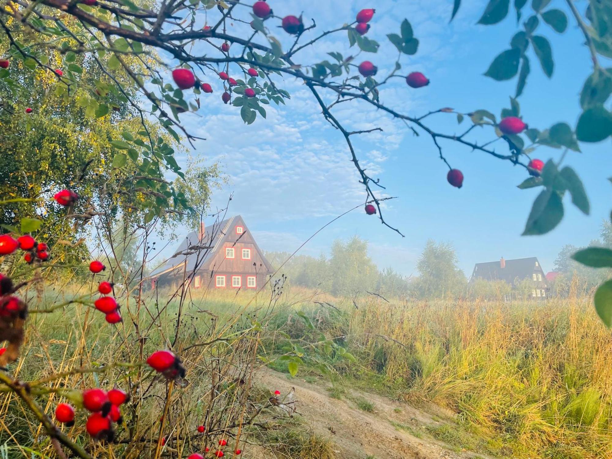 Chata Waliszow Nowy Waliszow Exterior foto